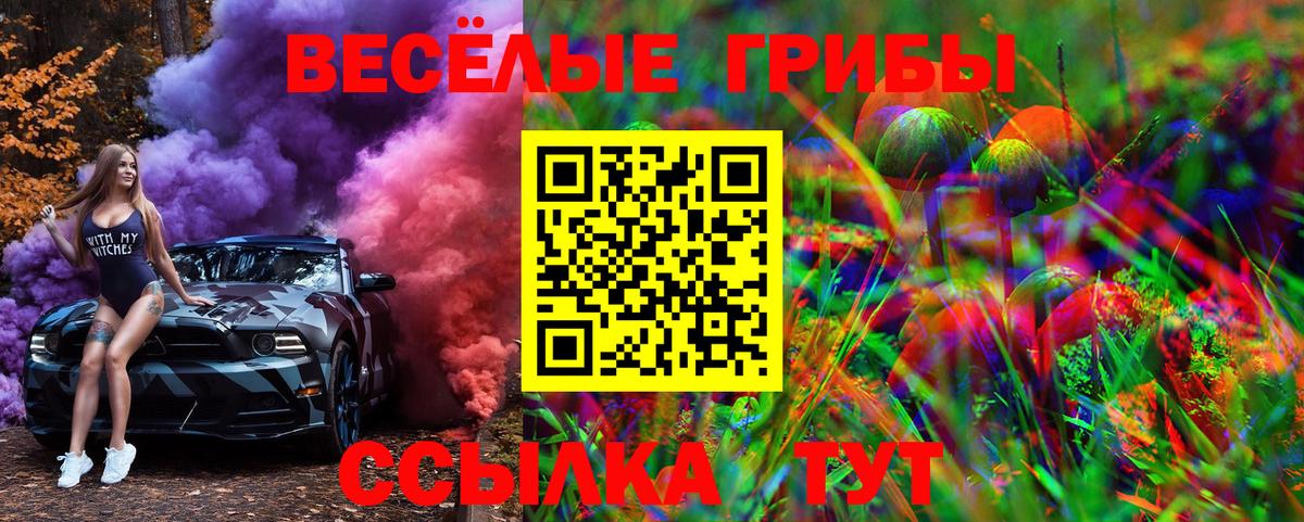 Галлюциногенные грибы Magic Shrooms  Вход с VPN  Туймазы 